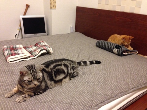 {3154016C-D58F-4080-9A46-E06359F43B78:01}