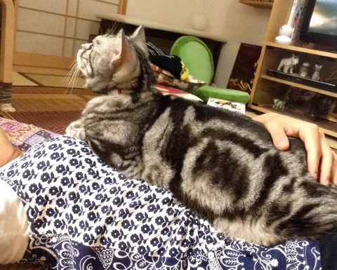 {1DEE27F1-99BE-4C5B-9361-C2B5AE47E0C3:01}