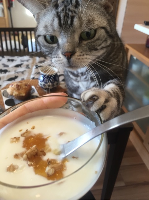 {F64F94B3-2D9F-4E72-A528-021A0258E780:01}