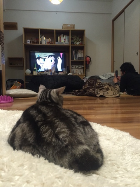 {2CA07A7C-2959-4615-830A-F36328B7B5A6:01}