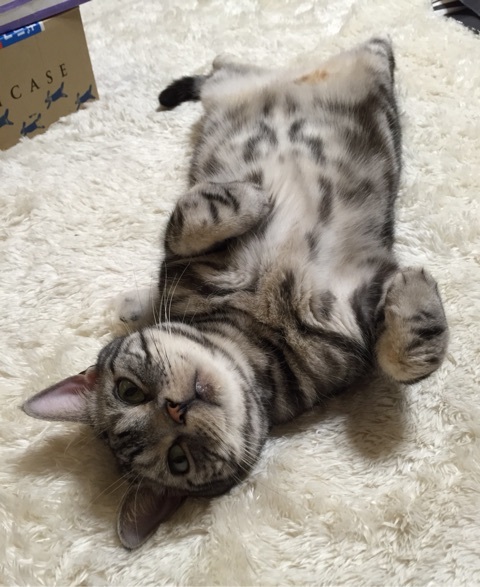 {CF817D59-ED25-41AB-AB78-CFE585BA704B:01}