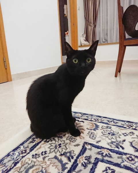 IMG_20190618_144337_490