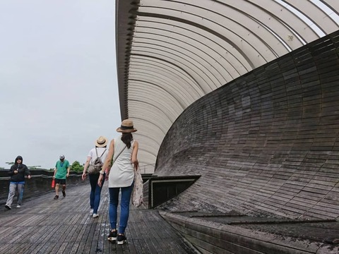 IMG_20181107_200309_832