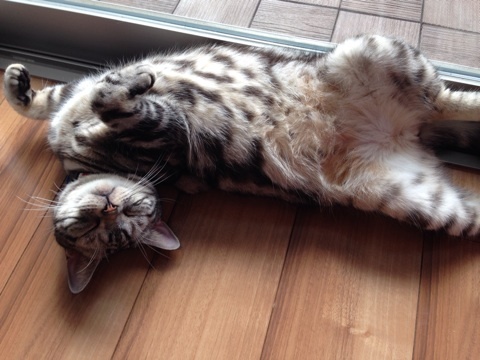 {E08967ED-F9FC-40B9-9344-4042E09165AD:01}