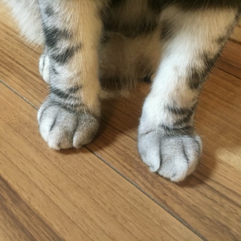 {8D0C115C-30CE-4FAA-98B0-3778A2965502:01}