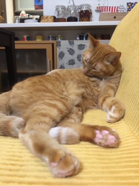 {C27DD829-B0BE-4AFE-9814-ABBF44A4FE54:01}