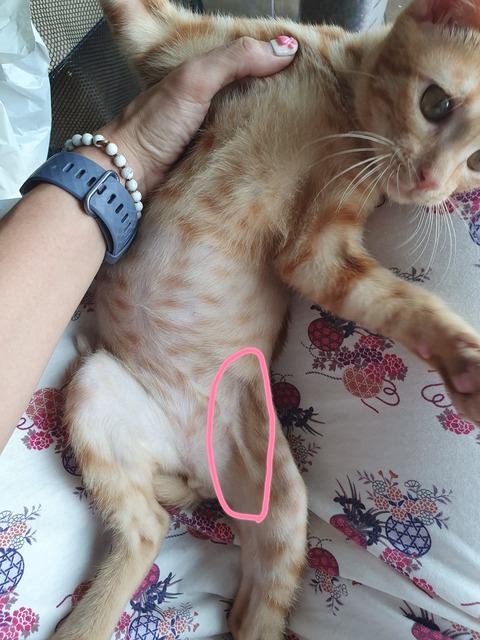 20-07-29-09-27-15-151_deco