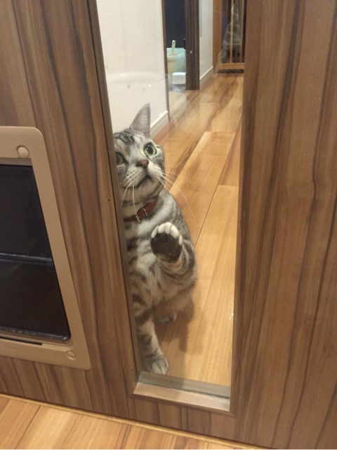 {203BF924-B802-494A-A084-A855005DFD2D:01}