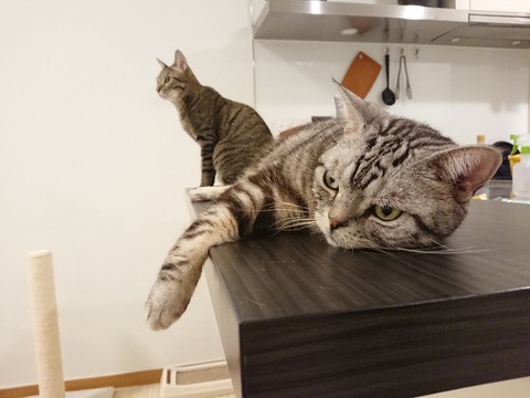 DSCPDC_0002_BURST20190402224705998