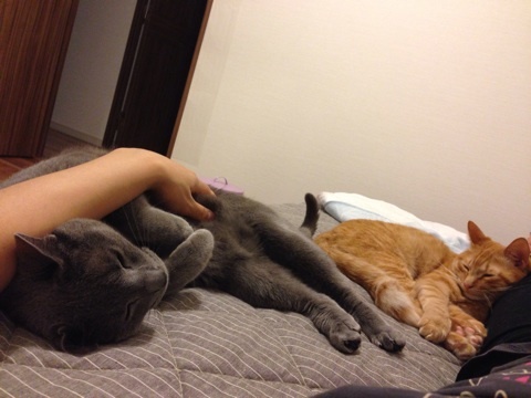 {9E6578F3-6F88-4212-9665-5F4A5D59A18F:01}