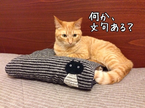 {2C12CC2E-F980-47DF-B0D8-8A9EEAA33F01:01}