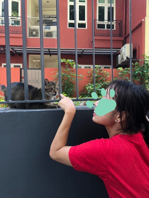 18-11-04-00-54-17-195_deco