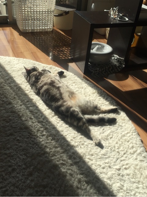 {4132CFB3-1CD9-4E9A-88C1-ABE3F29488C2:01}