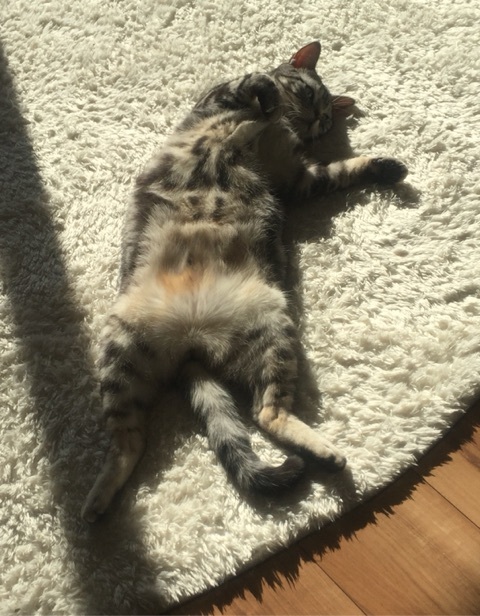 {3812F61C-8905-4ACD-96EE-2E1F7289D6C8:01}