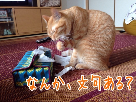 {7EB7372B-5C40-4DFE-881D-D77A9C959259:01}