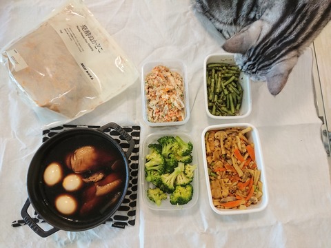 IMG_20190611_170831_664