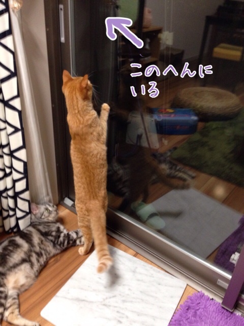 {12F33F9B-C0E5-4E96-8A79-385AD80211A7:01}