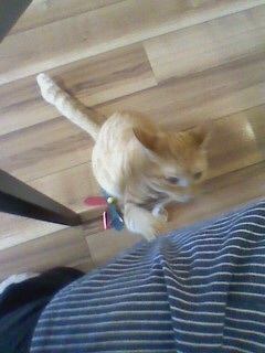 {58722791-873C-45BF-9ECA-FF6ABB6A4941:01}