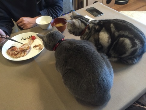 {2BFD1AAC-0291-4D0F-A468-87CCB96E07F2:01}