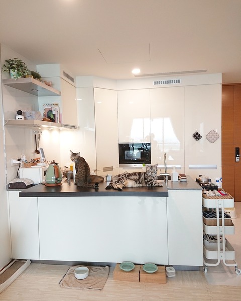 IMG_20181221_073524_264