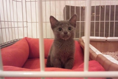 {ADFE5523-47D6-4FA4-9E94-995343307E55:01}