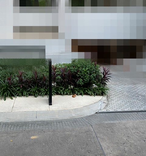 Point Blur_20200623_134505