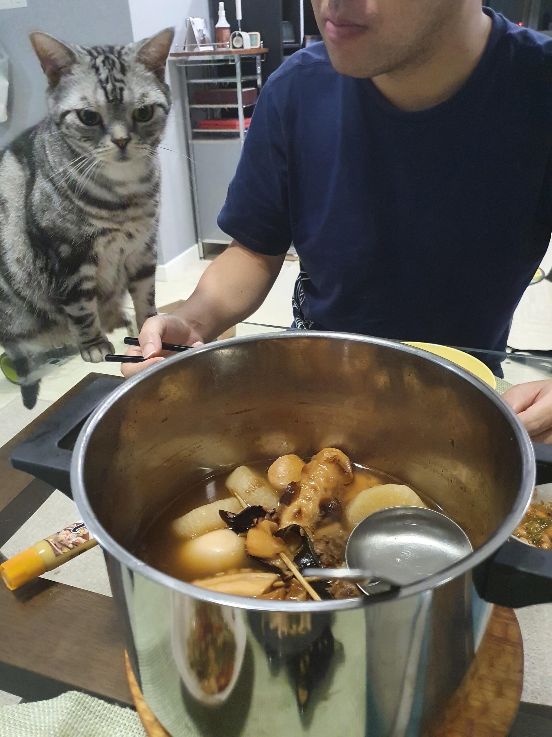 常夏のマレーシアで牛すじおでん : ねころぐ ~にゃんごくLife @クアラ