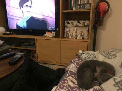 {C52061BC-842C-4703-B156-F221BD639ED7:01}