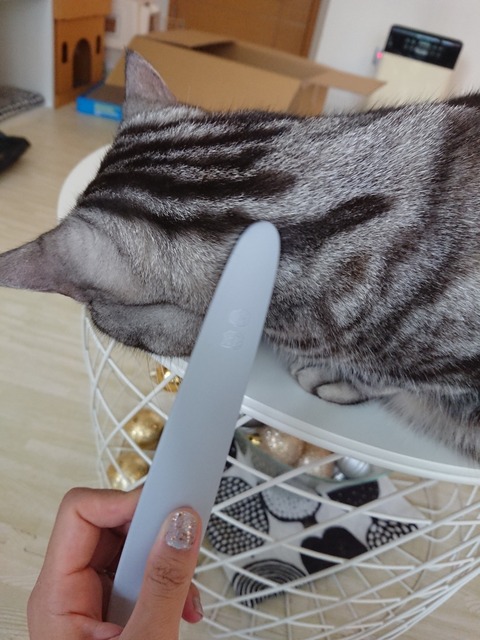 DSC_1102