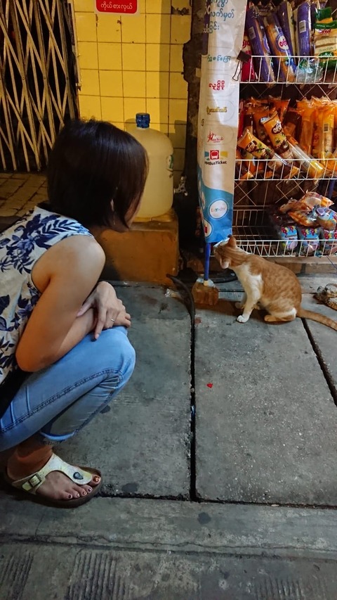 IMG-20190921-WA0065