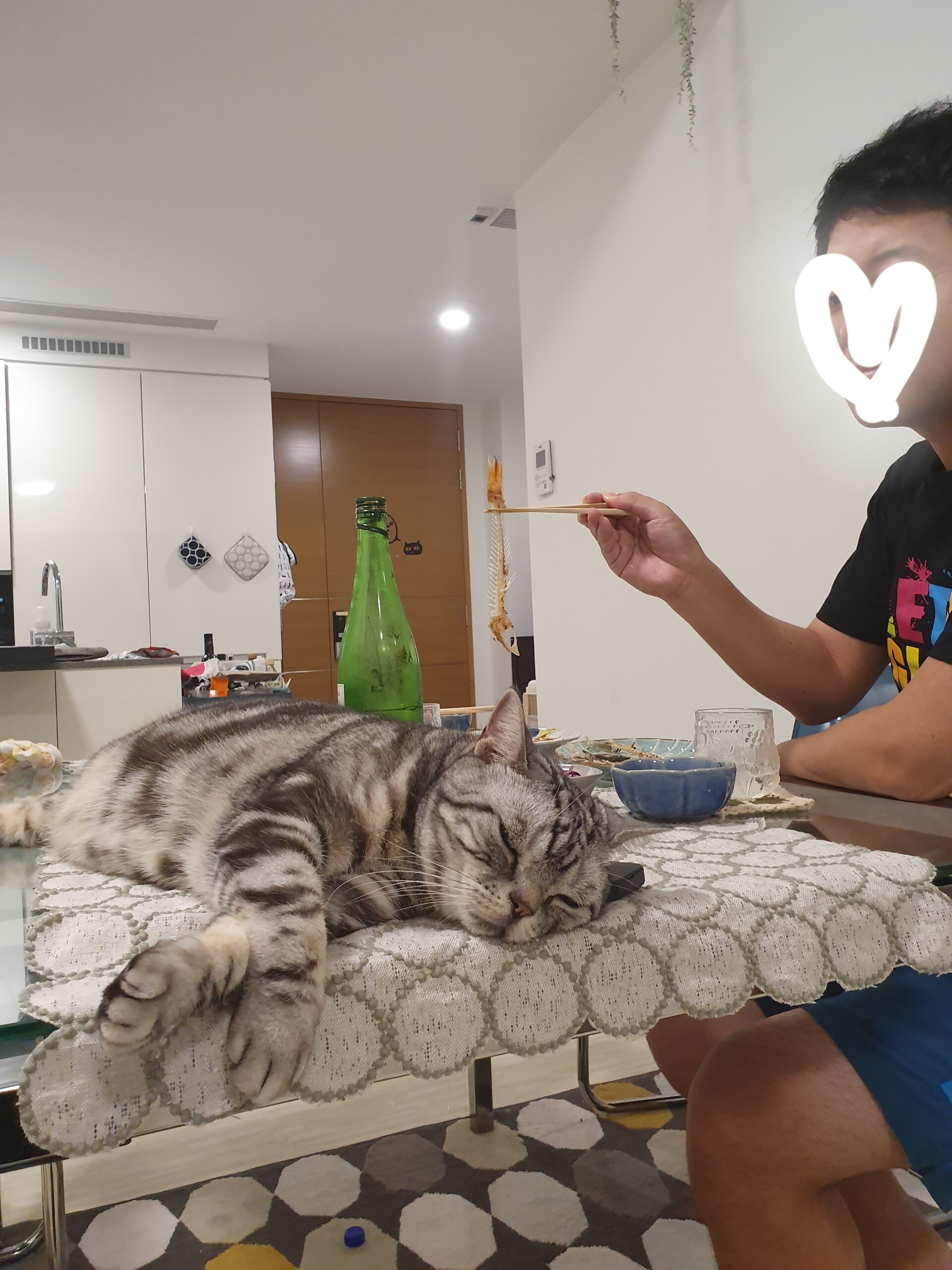 冷凍庫の残りの干物とふて寝 のふり ぱずたん ねころぐ にゃんごくlife クアラルンプール Powered By ライブドアブログ