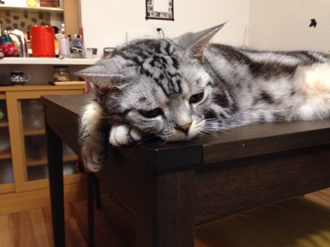 {8038E848-2B0C-4426-B0C0-6D9486C6F82B:01}