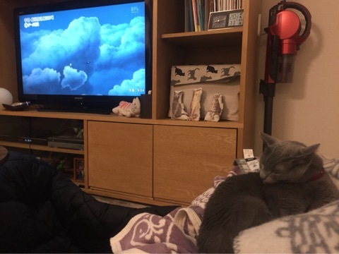 {FE8F828D-2AC6-437B-9B60-93FB964A92A8:01}