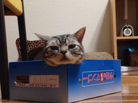 {C4C19BA3-D7CE-49E3-916A-55B79F9B6366:01}