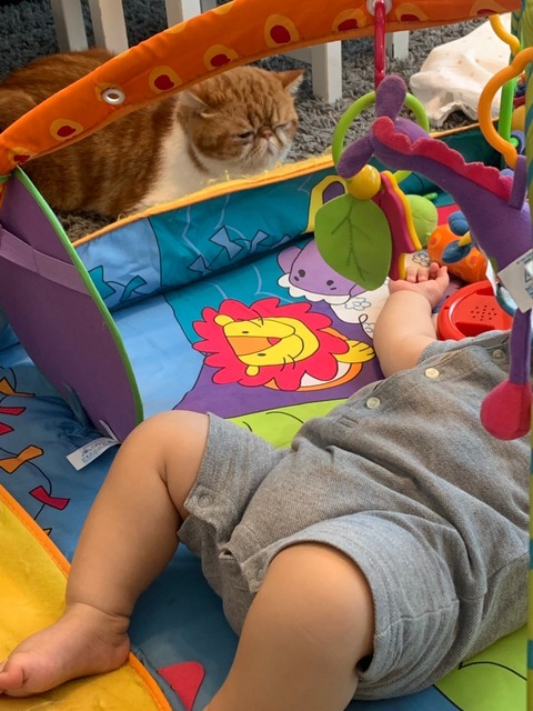 line_207280424962489