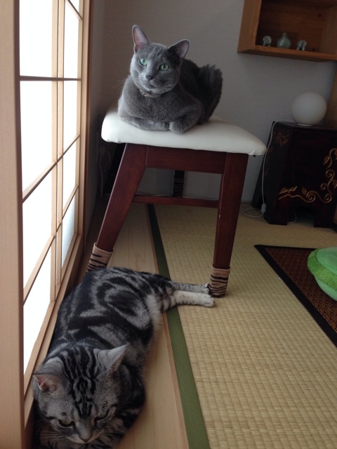 {40DD6D3A-8327-463E-927A-FF6B27FE1E80:01}