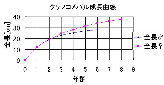 タケノコメバルの生態まとめ1 突っ走り釣行記