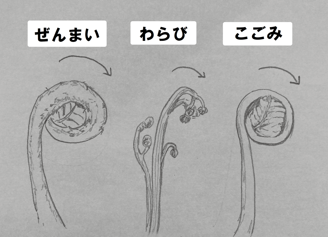 今が旬 りょくのーと