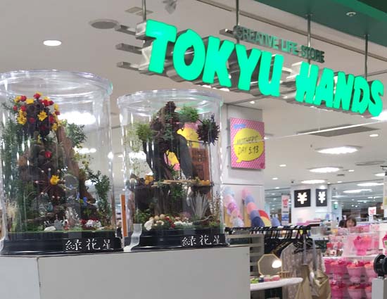 東急ハンズららぽーと船橋店でハコニワジオラマの販売開始 苔玉こけっぴの緑花星 東急ハンズららぽーと船橋店でハコニワジオラマの販売開始 苔玉こけっぴの緑花星
