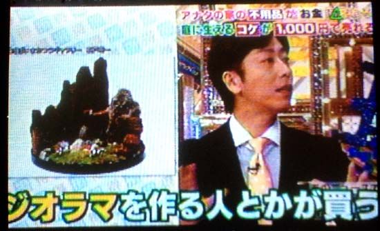 あのニュースで得する人損する人スペシャル でジオラマ作品が紹介されました 苔玉こけっぴの緑花星 あのニュースで得する人損する人スペシャル でジオラマ作品が紹介されました 苔玉こけっぴの緑花星