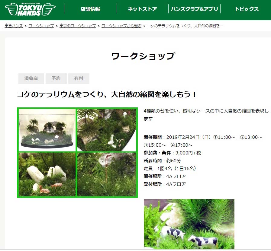 告知 東急ハンズ渋谷店で苔のテラリウムワークショップ 苔玉こけっぴの緑花星