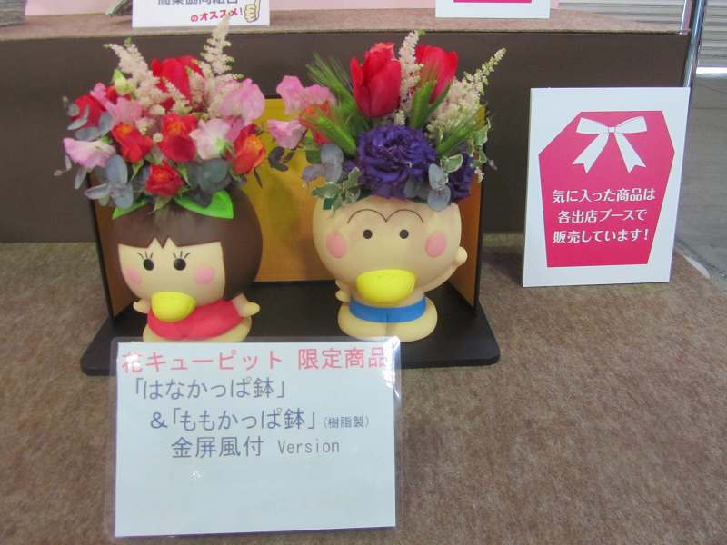 花育親善大使の はなかっぱ 苔玉こけっぴの緑花星