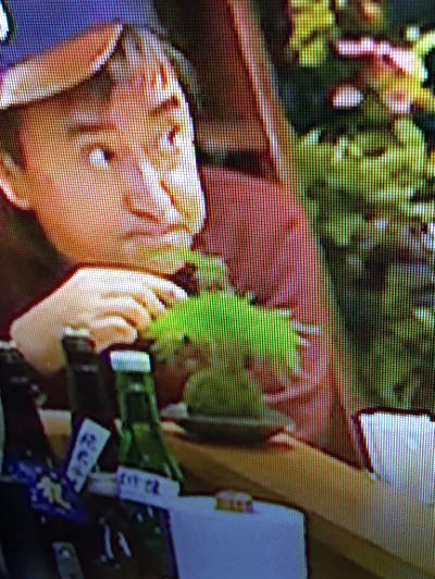 ポケットティッシュケースを使ったインテリアグリーン 苔玉こけっぴの緑花星