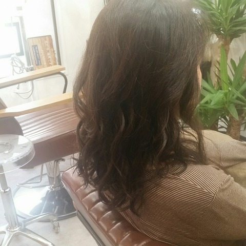 [画像:48b6dbc3-s.jpg]