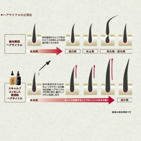 [画像:64c24bf6-s.jpg]