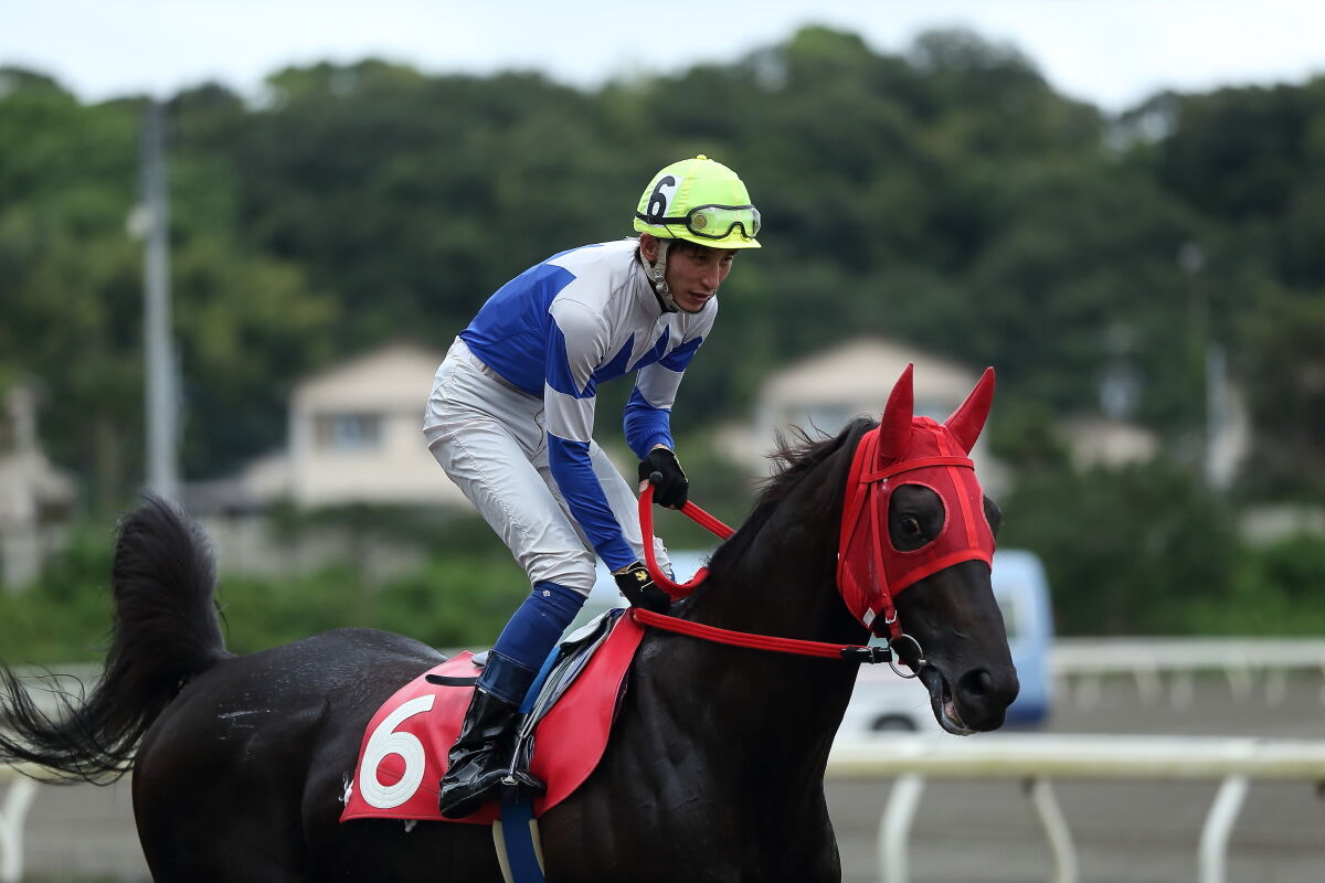 1413 ショウナン アデラ 骨折 Recovery 骨折