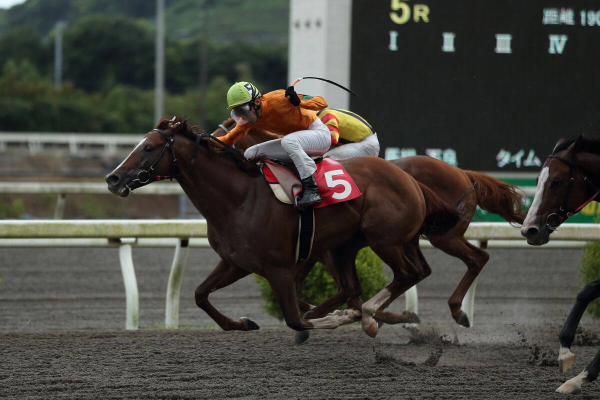 1413 ショウナン アデラ 骨折 Recovery 骨折