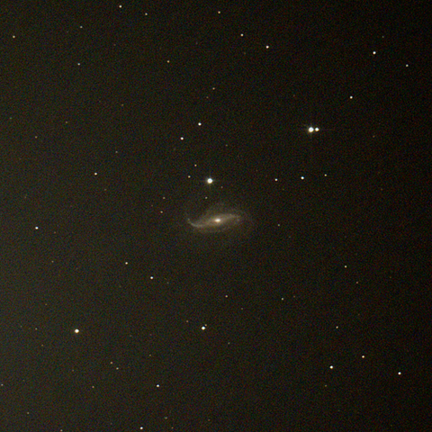 613_231208X500x500_dss_cap