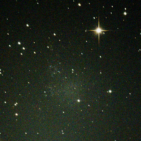 C51_IC1613_231202X500x500_dss_cap