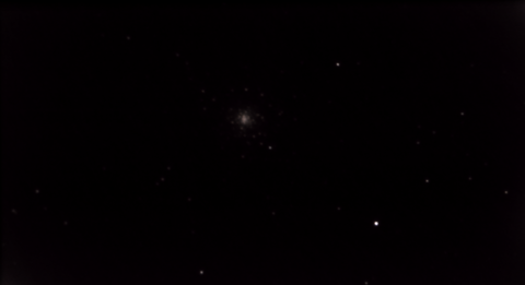 M79